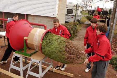 Easton Baseball players bail one of the 20 trees that were delivered to needy families