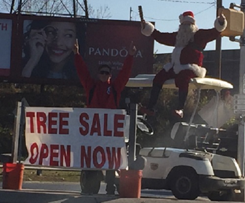 Easton Baseball Christmas Tree Sale